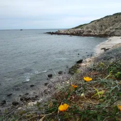 Cabo Pulmo National Marine Park - Los Cabos