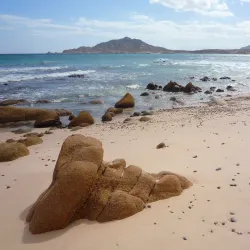 Cabo Pulmo National Marine Park - Los Cabos
