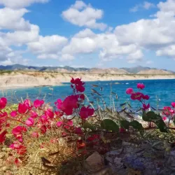 Cabo Pulmo National Marine Park - Los Cabos