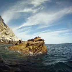 Cabo Pulmo National Marine Park - Los Cabos