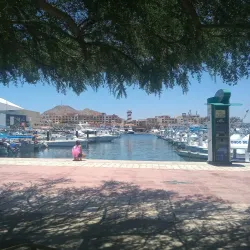 Cabo San Lucas Marina - Los Cabos