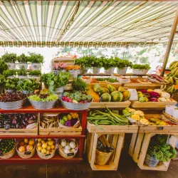 Flora Farms - Los Cabos