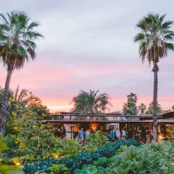 Flora Farms - Los Cabos