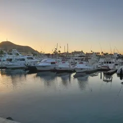 Whale Watching Tours - Los Cabos