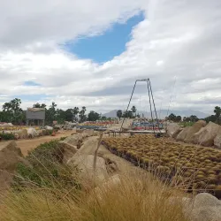 Wirikuta Botanical Park - Los Cabos