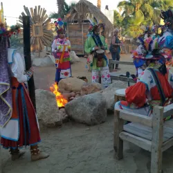 Wirikuta Botanical Park - Los Cabos