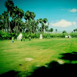 Wirikuta Botanical Park - Los Cabos