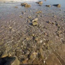 Laguna Madre - Matamoros
