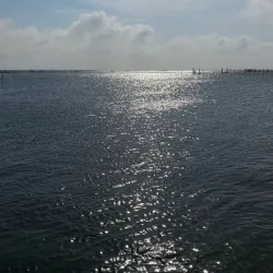 Laguna Madre - Matamoros