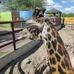 Parque Viveros - Matamoros