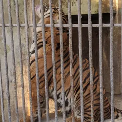 Parque Viveros - Matamoros