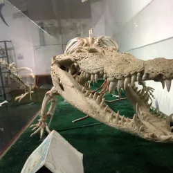 Mazatlán Aquarium (Acuario Mazatlán) - Mazatlan