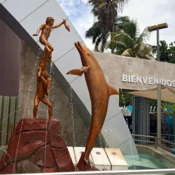 Mazatlán Aquarium (Acuario Mazatlán) - Mazatlan