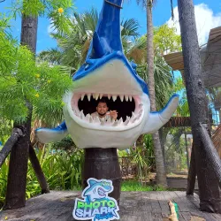 Mazatlán Aquarium (Acuario Mazatlán) - Mazatlan