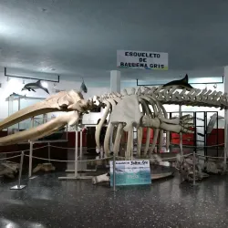 Mazatlán Aquarium (Acuario Mazatlán) - Mazatlan