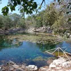 Cenote Xlacah - Merida