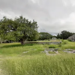 Cenote Xlacah - Merida