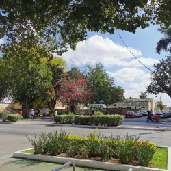 Paseo de Montejo - Merida