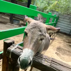 Bosque y Zoológico de la Ciudad - Mexicali