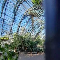 Bosque y Zoológico de la Ciudad - Mexicali