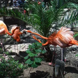 Bosque y Zoológico de la Ciudad - Mexicali