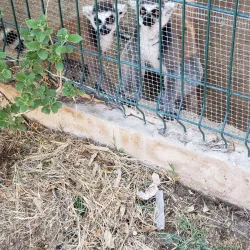 Bosque y Zoológico de la Ciudad - Mexicali