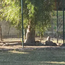 Bosque y Zoológico de la Ciudad - Mexicali