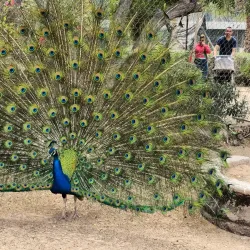 Bosque y Zoológico de la Ciudad - Mexicali