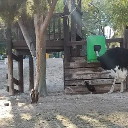 Bosque y Zoológico de la Ciudad - Mexicali