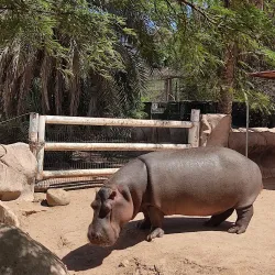 Bosque y Zoológico de la Ciudad - Mexicali