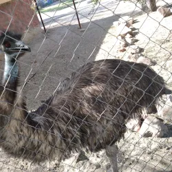 Parque la Esperanza - Mexicali