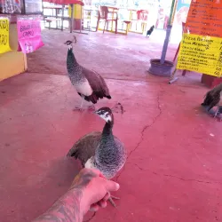 Parque la Esperanza - Mexicali