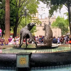 Coyoacán - Mexico City