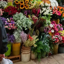 Coyoacán - Mexico City