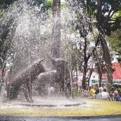 Coyoacán - Mexico City