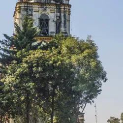 Coyoacán - Mexico City