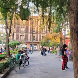 Coyoacán - Mexico City