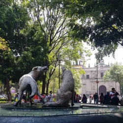 Coyoacán - Mexico City