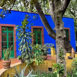 Frida Kahlo Museum (Casa Azul) - Mexico City