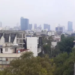 Roma and Condesa Neighborhoods - Mexico City