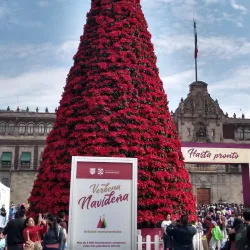 Zócalo (Plaza de la Constitución) - Mexico City