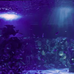 Acuario Inbursa - Miguel Hidalgo