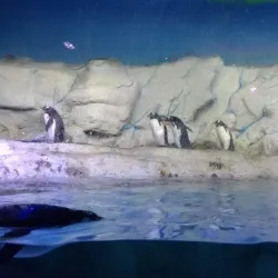 Acuario Inbursa - Miguel Hidalgo