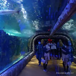 Acuario Inbursa - Miguel Hidalgo