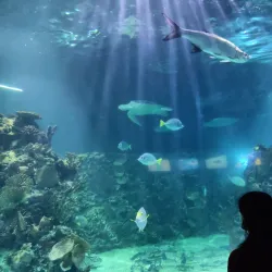 Acuario Inbursa - Miguel Hidalgo