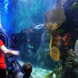 Acuario Inbursa - Miguel Hidalgo