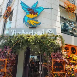 Avenida Presidente Masaryk - Miguel Hidalgo