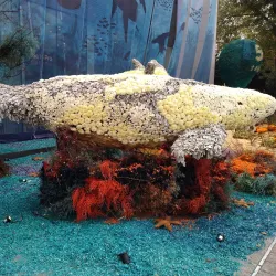 Avenida Presidente Masaryk - Miguel Hidalgo