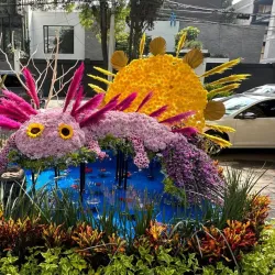 Avenida Presidente Masaryk - Miguel Hidalgo