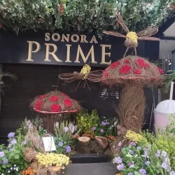 Avenida Presidente Masaryk - Miguel Hidalgo